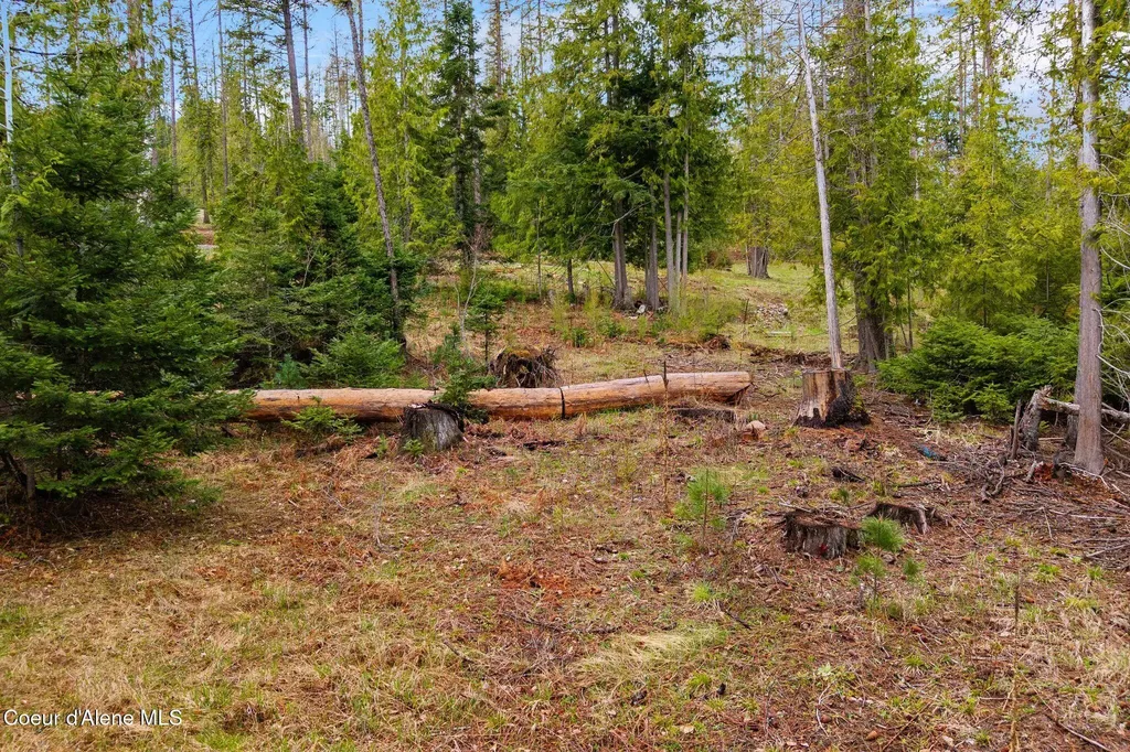 Lot 2 W Pine Sandpoint ID 83864