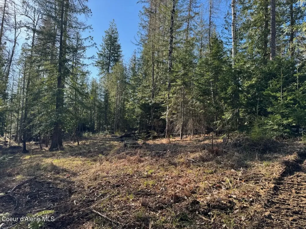 Lot 2 W Pine Sandpoint ID 83864