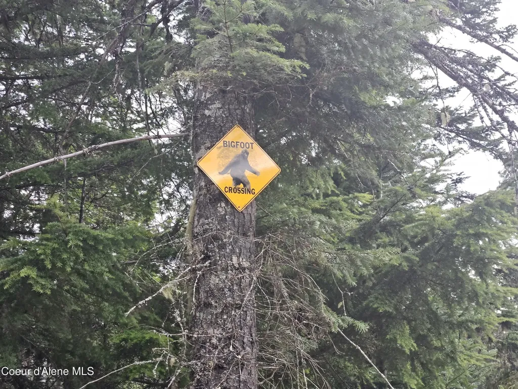 940 Sled Run Trail Clark Fork ID 83811