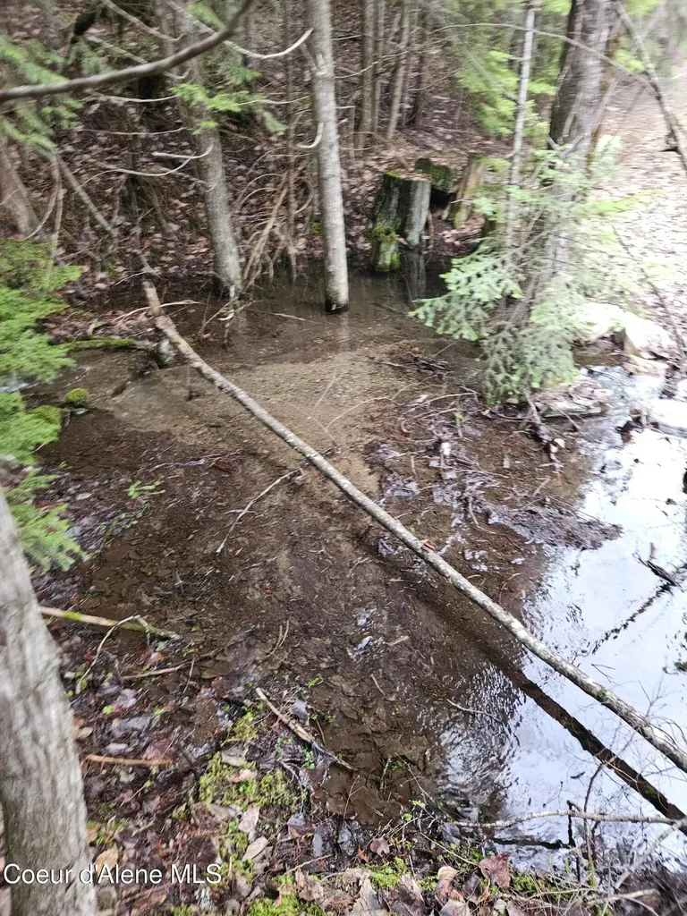 940 Sled Run Trail Clark Fork ID 83811