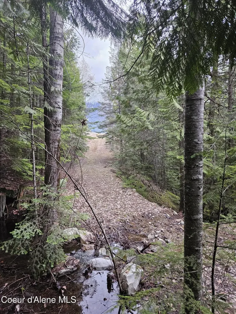 940 Sled Run Trail Clark Fork ID 83811