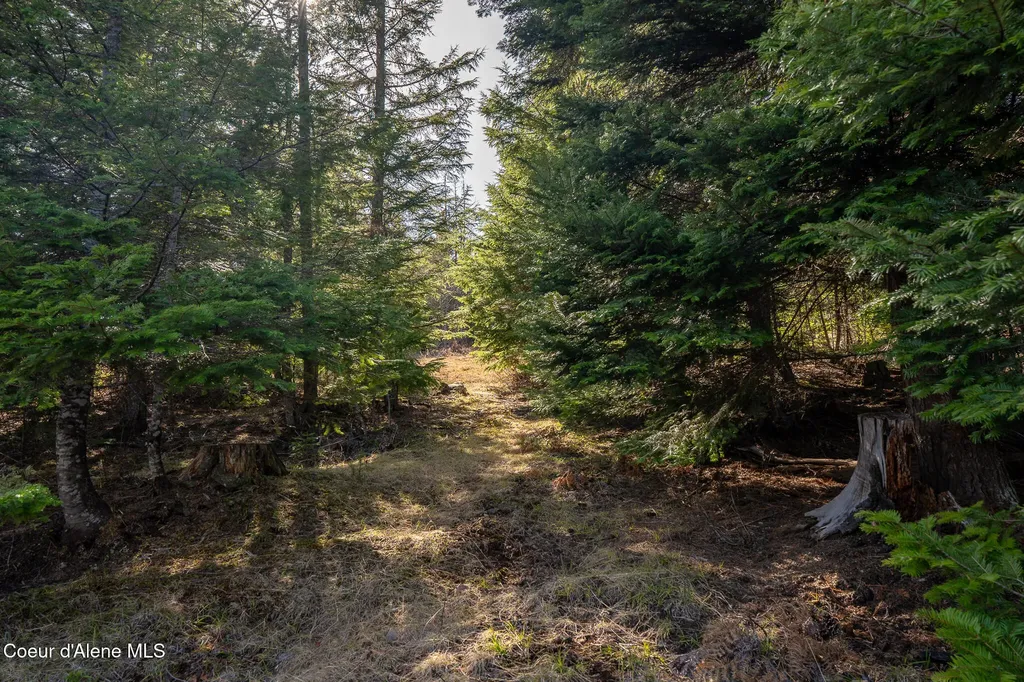 940 Sled Run Trail Clark Fork ID 83811