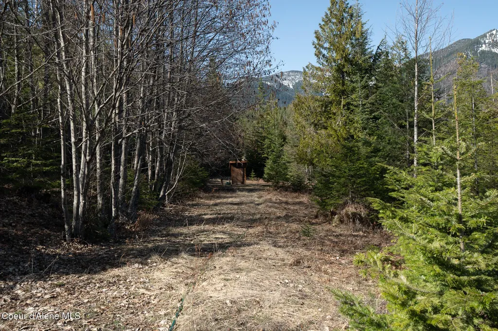 940 Sled Run Trail Clark Fork ID 83811
