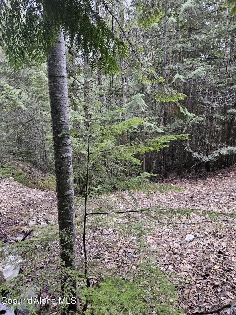 940 Sled Run Trail Clark Fork ID 83811