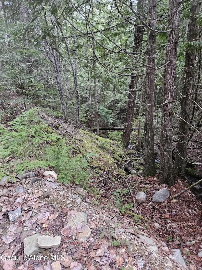 940 Sled Run Trail Clark Fork ID 83811