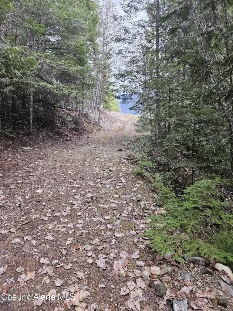 940 Sled Run Trail Clark Fork ID 83811