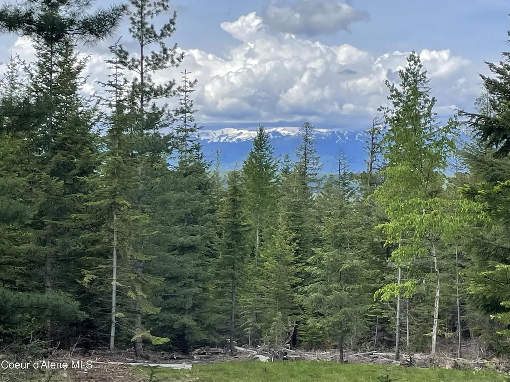 900 Rising Hawk Ridge Sandpoint ID 83864