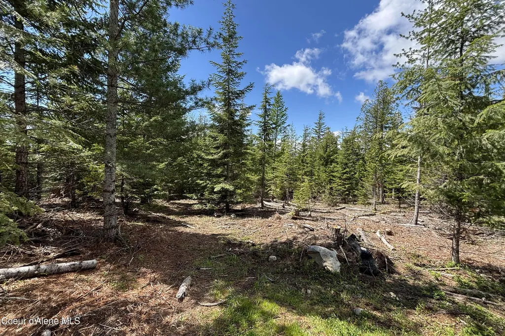 900 Rising Hawk Ridge Sandpoint ID 83864