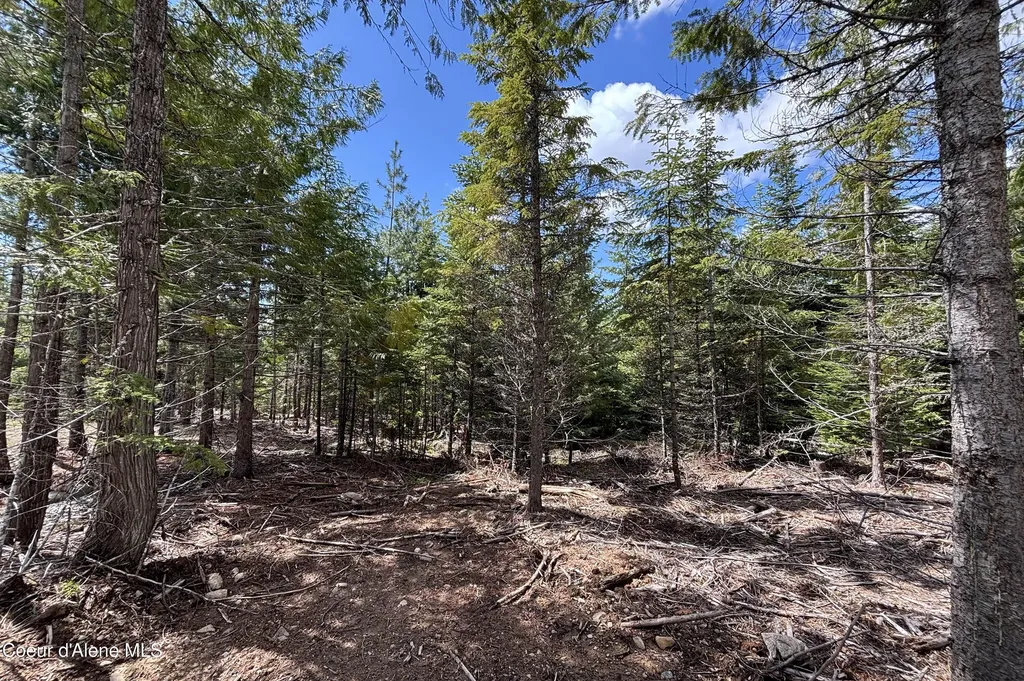 900 Rising Hawk Ridge Sandpoint ID 83864