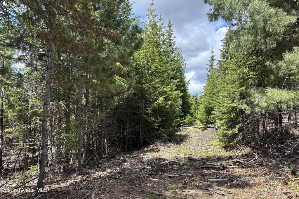 900 Rising Hawk Ridge Sandpoint ID 83864