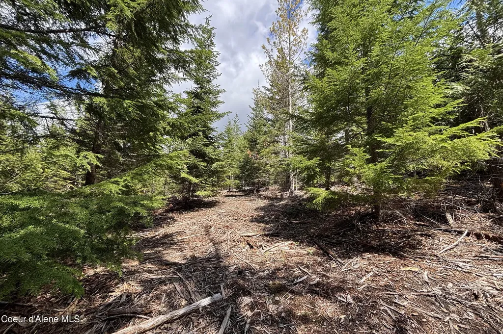 900 Rising Hawk Ridge Sandpoint ID 83864