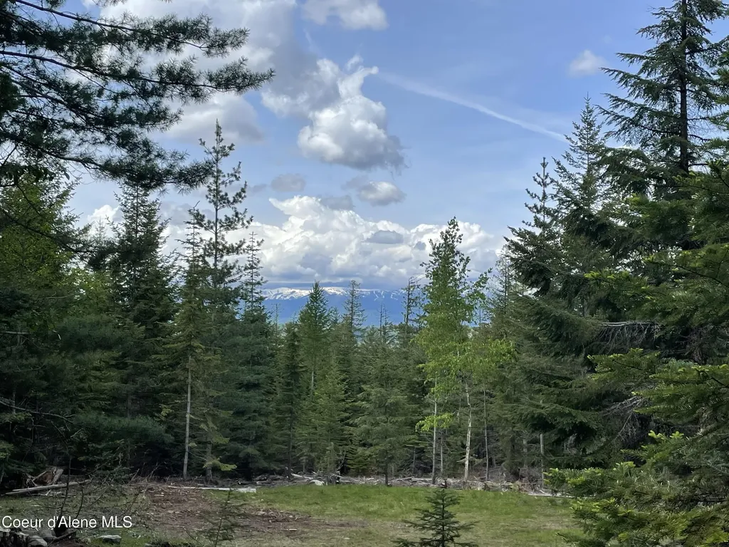 900 Rising Hawk Ridge Sandpoint ID 83864