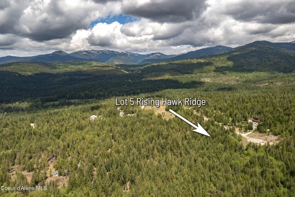 900 Rising Hawk Ridge Sandpoint ID 83864