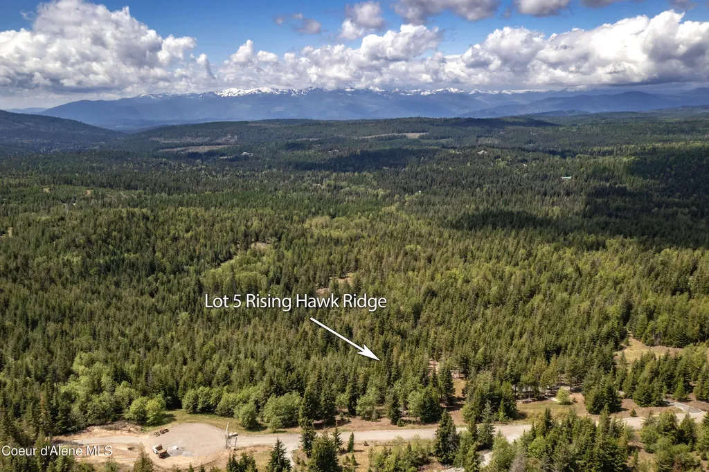900 Rising Hawk Ridge Sandpoint ID 83864