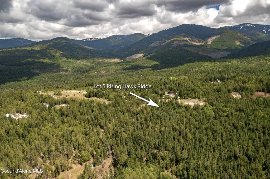 900 Rising Hawk Ridge Sandpoint ID 83864