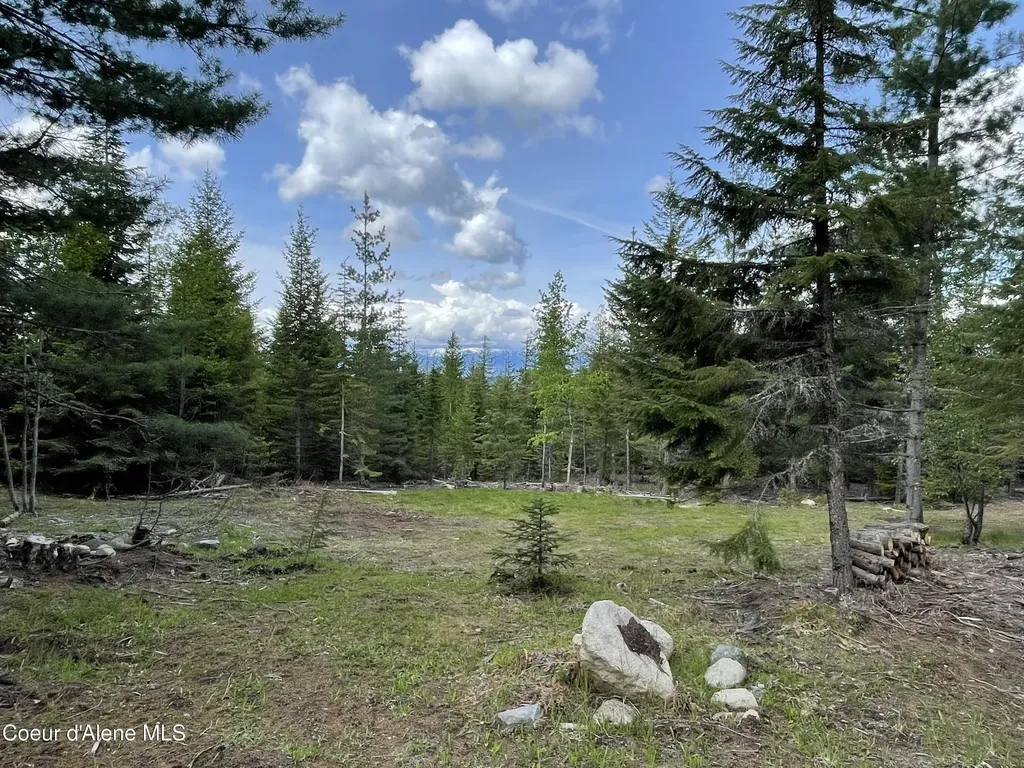 900 Rising Hawk Ridge Sandpoint ID 83864