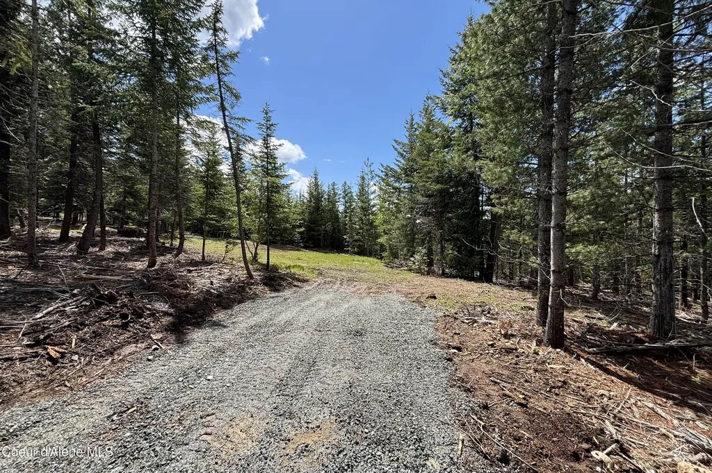 900 Rising Hawk Ridge Sandpoint ID 83864