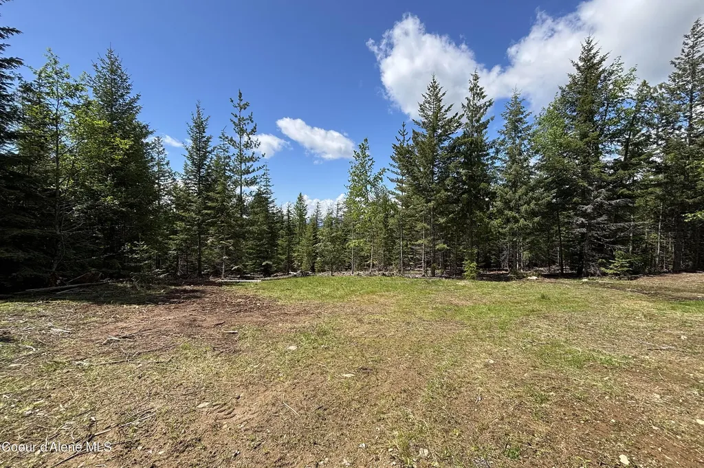900 Rising Hawk Ridge Sandpoint ID 83864