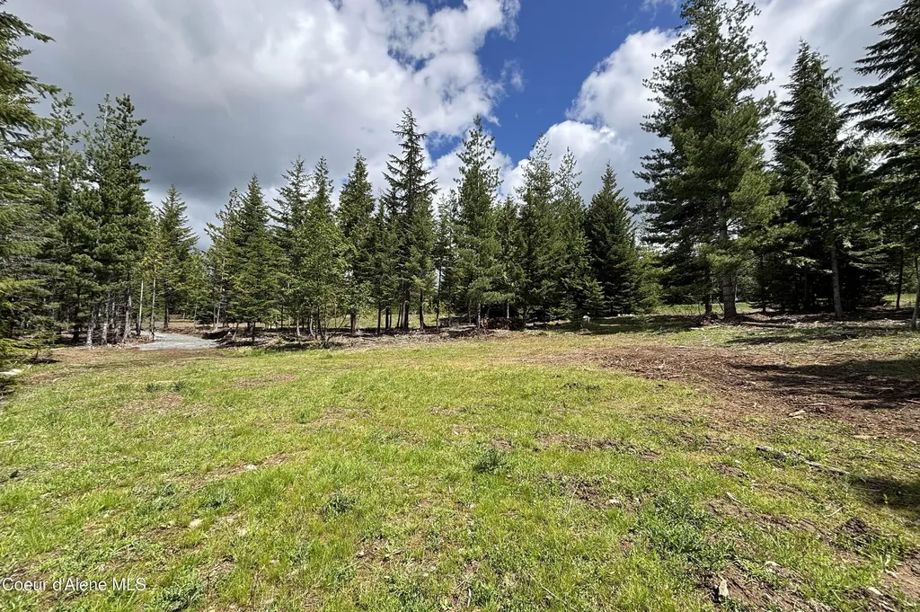 900 Rising Hawk Ridge Sandpoint ID 83864