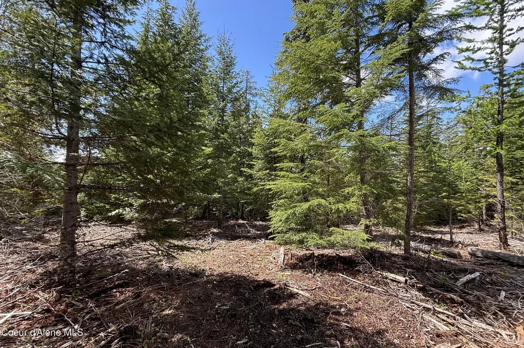 900 Rising Hawk Ridge Sandpoint ID 83864
