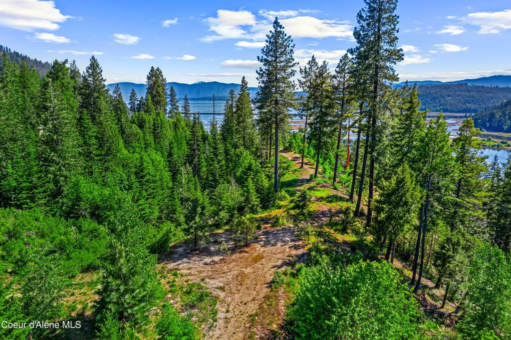 Nna Kirby Mount ( West 5 Acres ) Sandpoint ID 83864