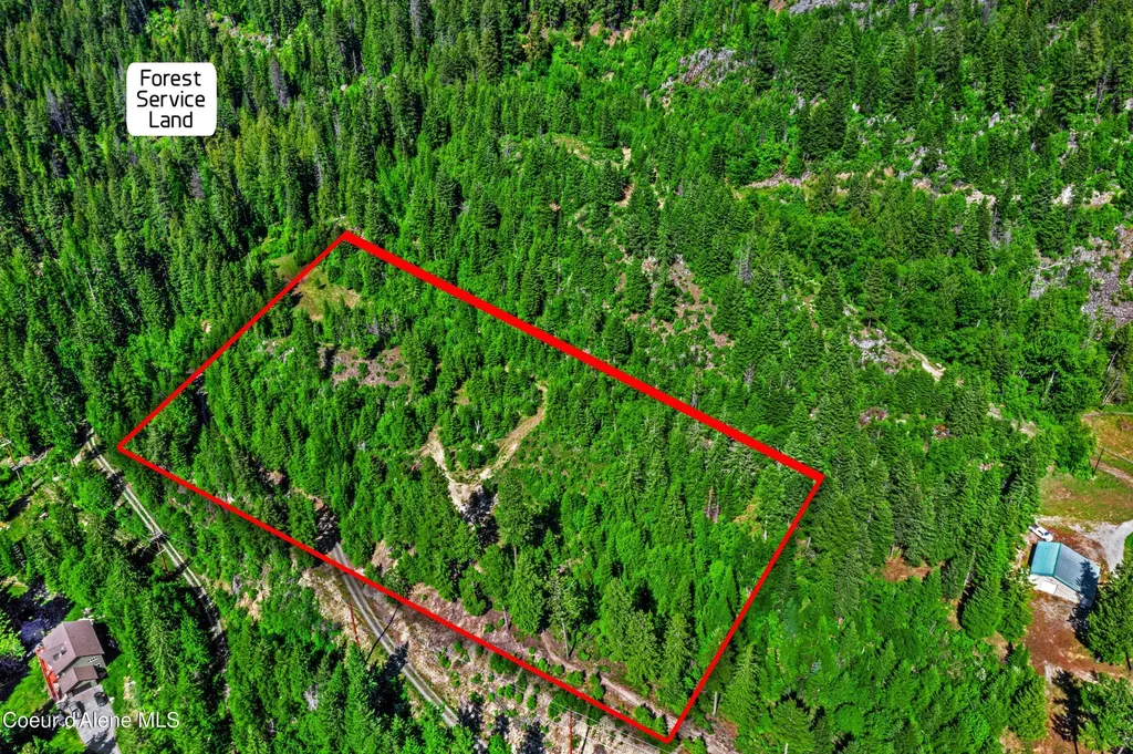 Nna Kirby Mount ( West 5 Acres ) Sandpoint ID 83864