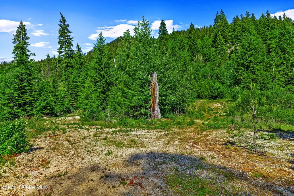 Nna Kirby Mount ( West 5 Acres ) Sandpoint ID 83864