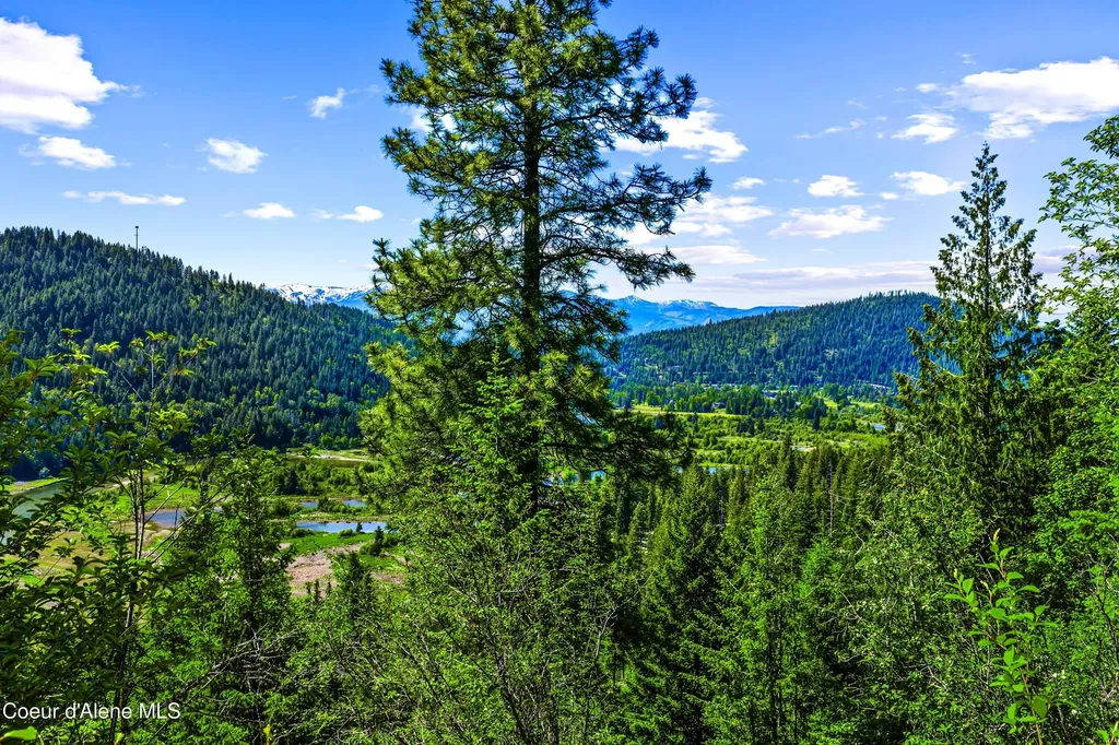 Nna Kirby Mount ( West 5 Acres ) Sandpoint ID 83864