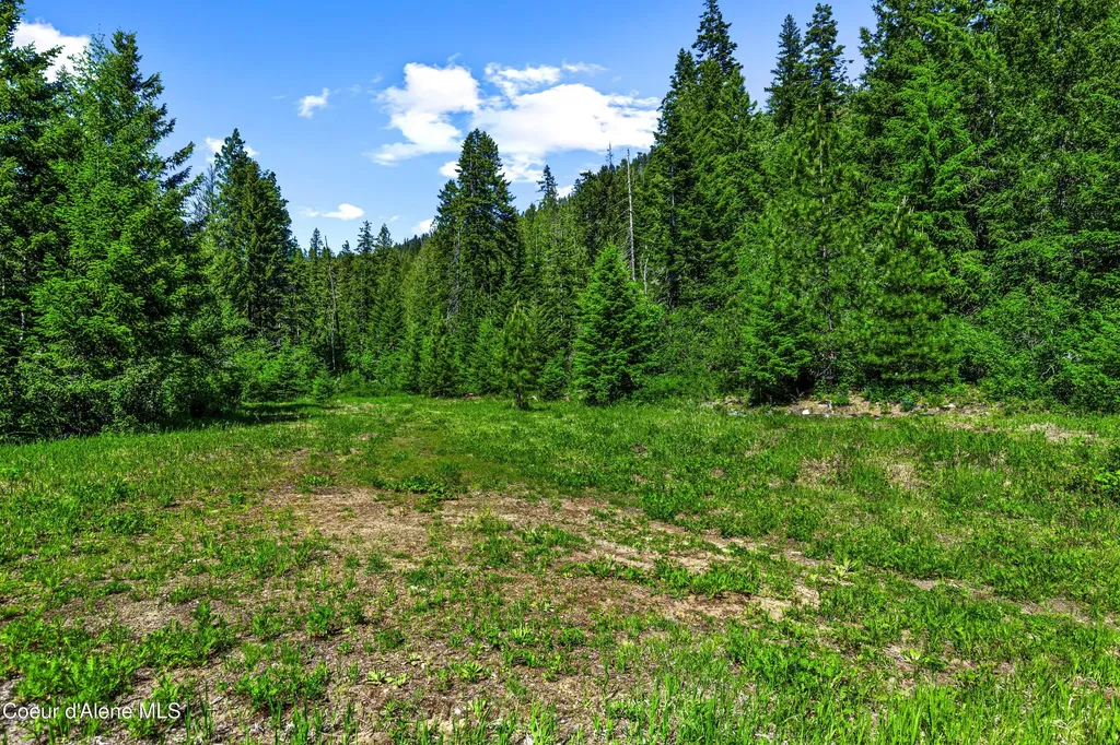 Nna Kirby Mount ( West 5 Acres ) Sandpoint ID 83864