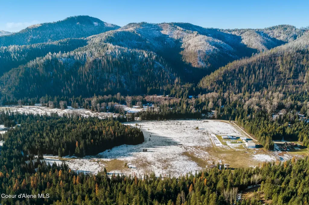828 W Fork Eagle Creek Road Wallace ID 83873