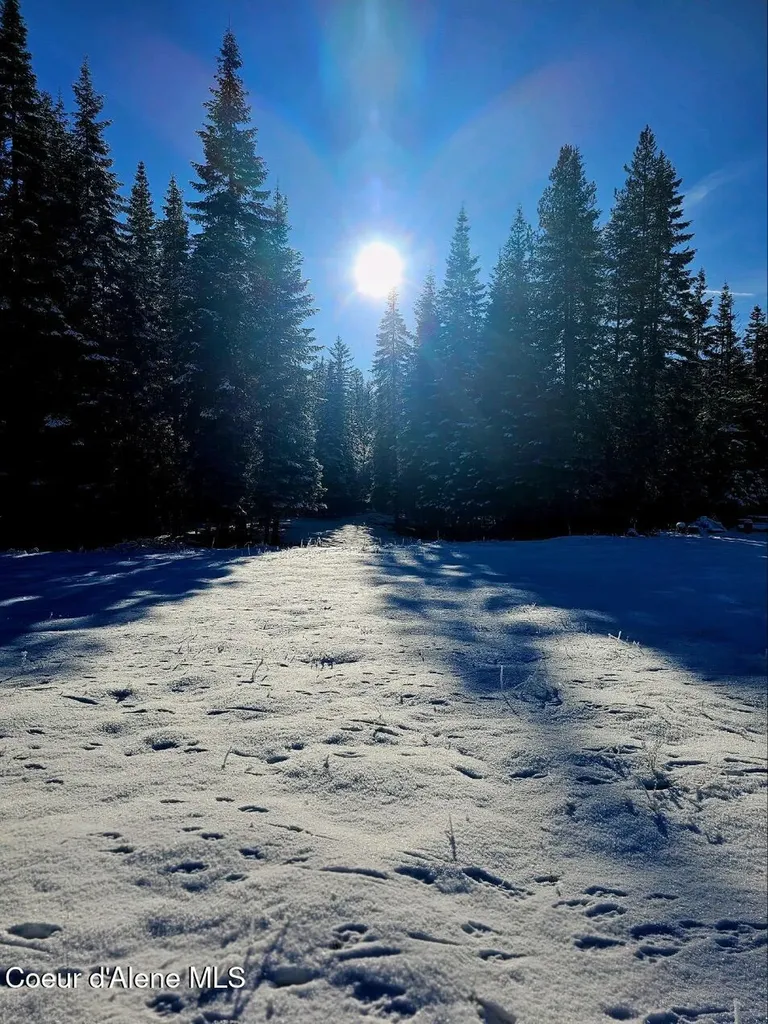 828 W Fork Eagle Creek Road Wallace ID 83873