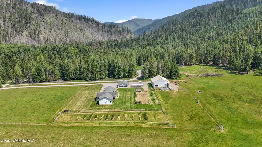 828 W Fork Eagle Creek Road Wallace ID 83873