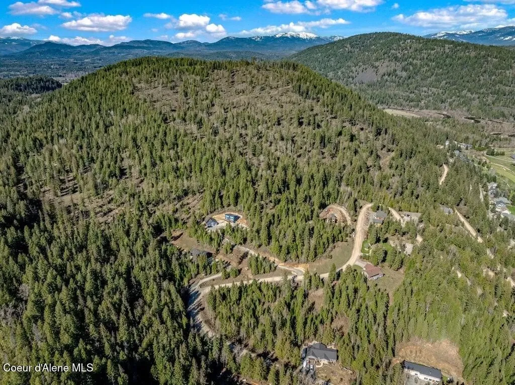 133 Olympic Drive Sandpoint ID 83864