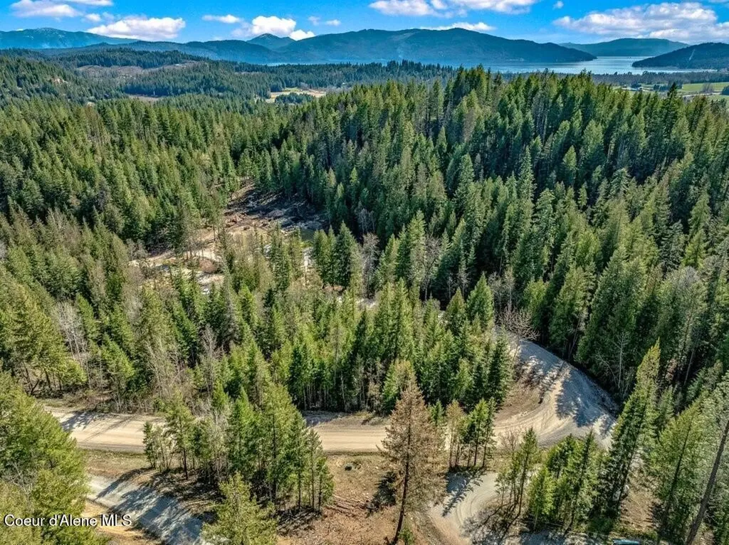 133 Olympic Drive Sandpoint ID 83864