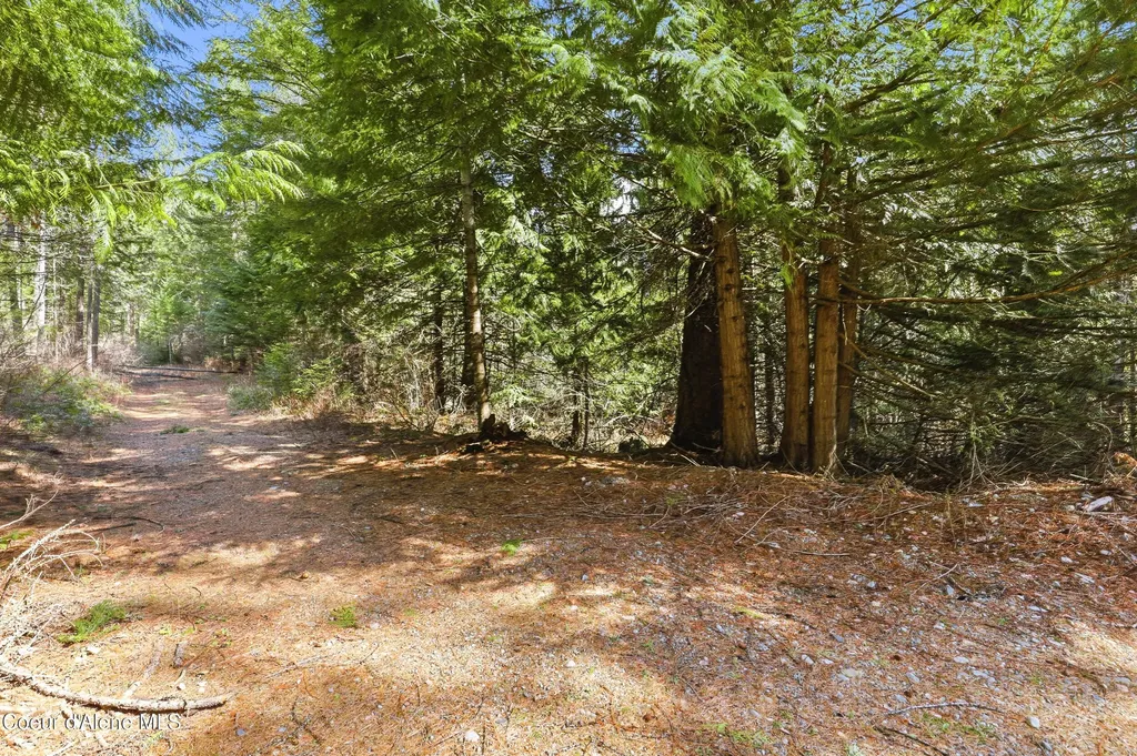 Nka Poverty Lane Spirit Lake ID 83869