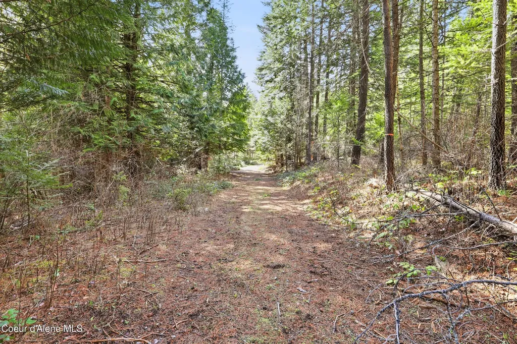 Nka Poverty Lane Spirit Lake ID 83869