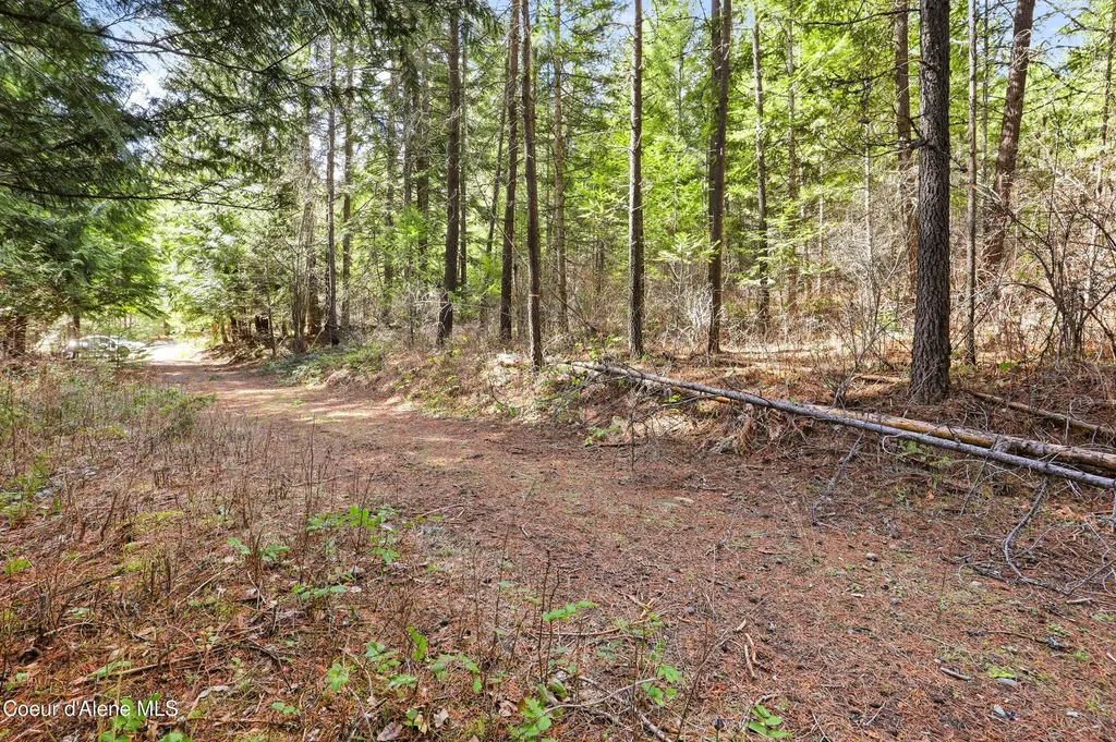 Nka Poverty Lane Spirit Lake ID 83869