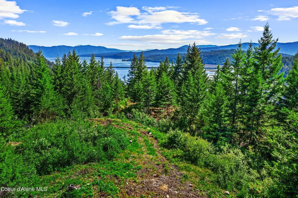 Nna Kirby Mount ( East 5 Acres ) Sandpoint ID 83864