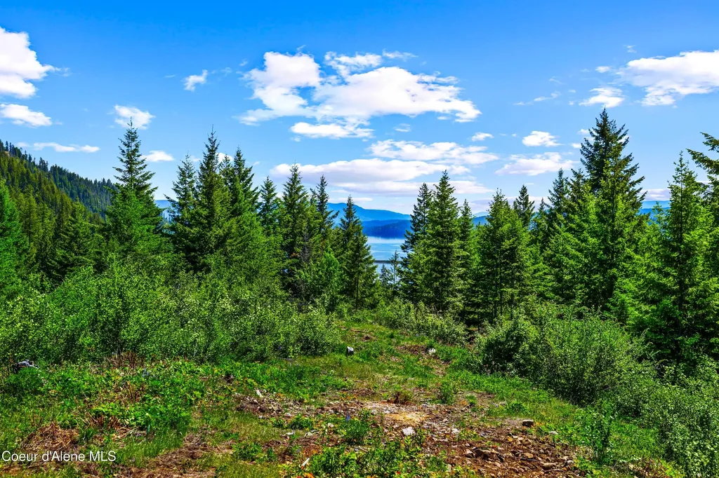 Nna Kirby Mount ( East 5 Acres ) Sandpoint ID 83864