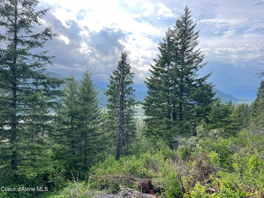 Nna Kirby Mount ( East 5 Acres ) Sandpoint ID 83864