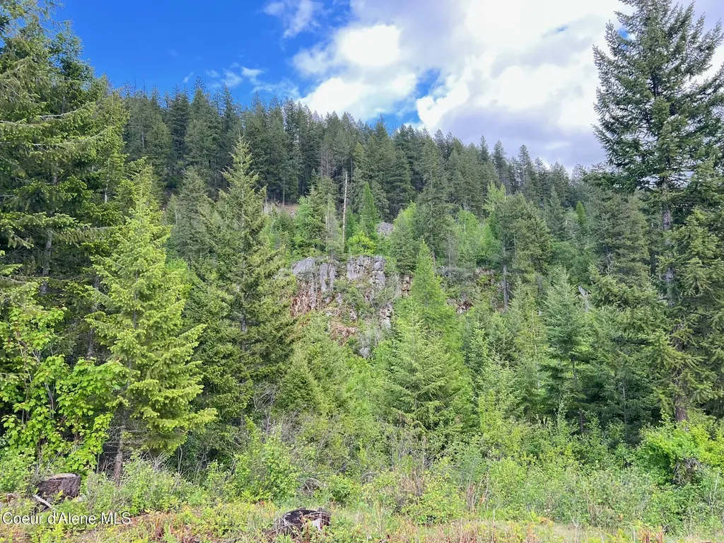 Nna Kirby Mount ( East 5 Acres ) Sandpoint ID 83864
