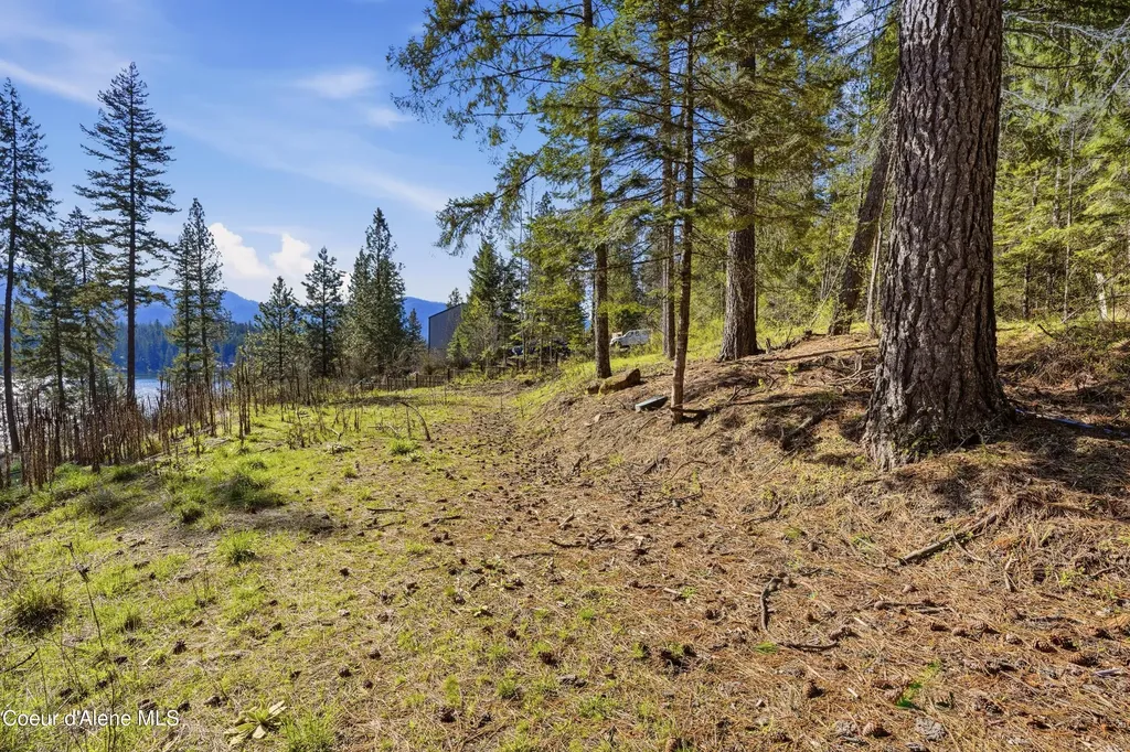 Nna N Orca Trail Hayden ID 83835
