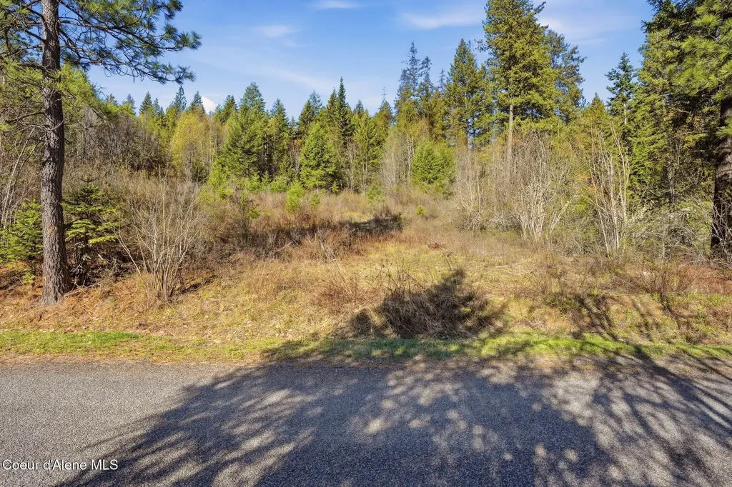 Nna N Orca Trail Hayden ID 83835