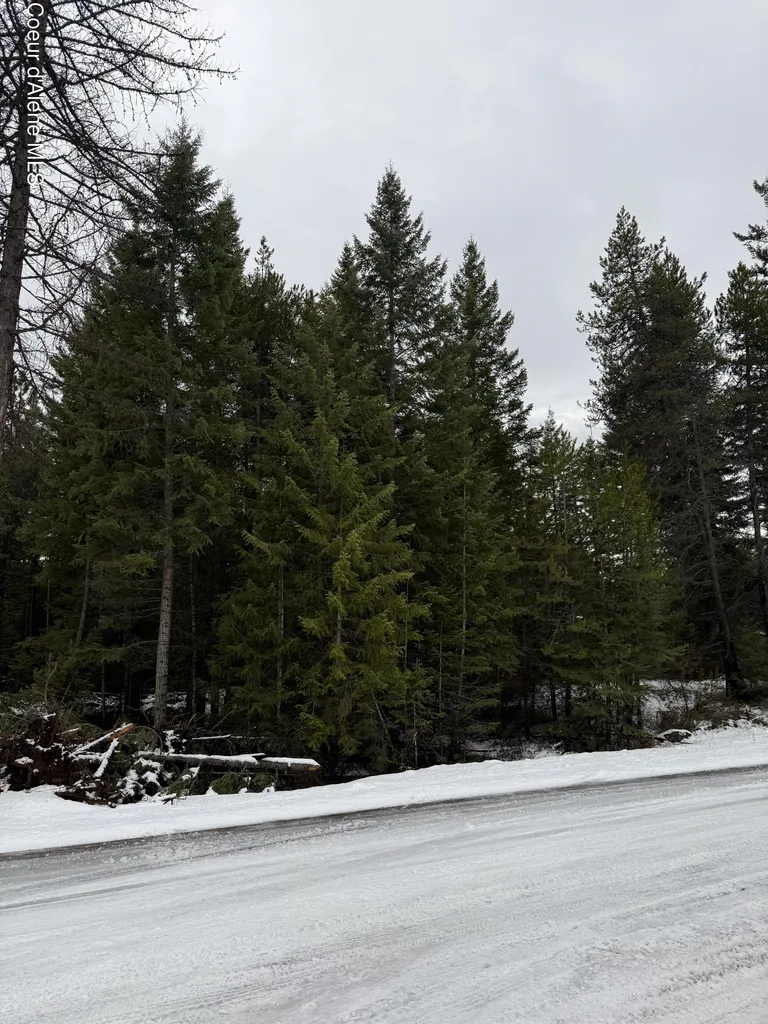 Nka Van Buren Street Spirit Lake ID 83869