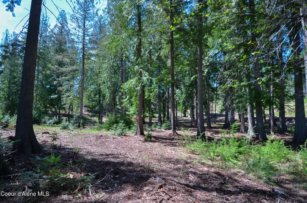 Estate Lot 3 Camp Bay Estates Sagle ID 83860