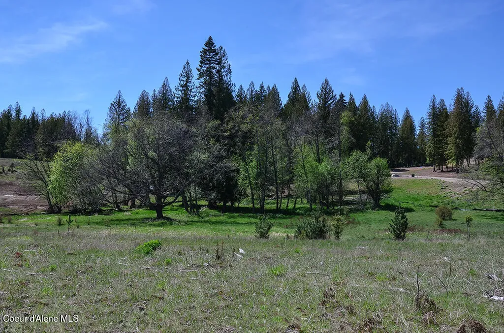 Estate Lot 3 Camp Bay Estates Sagle ID 83860