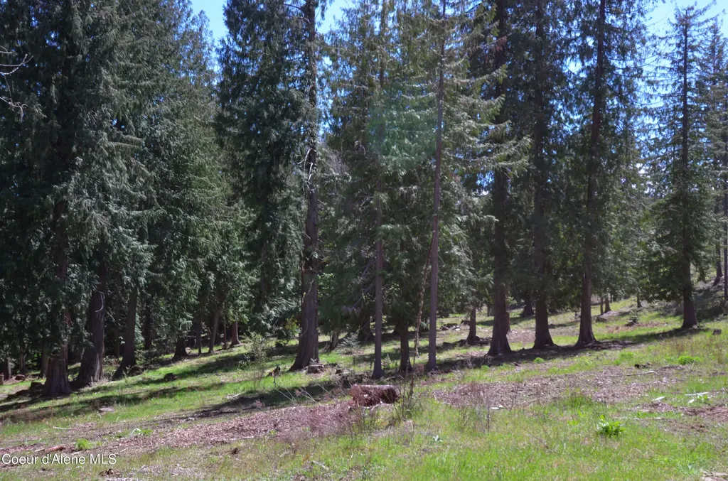 Estate Lot 3 Camp Bay Estates Sagle ID 83860