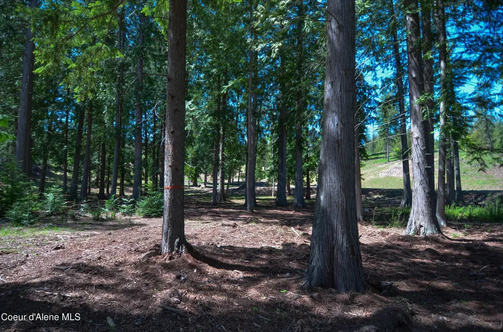 Estate Lot 3 Camp Bay Estates Sagle ID 83860