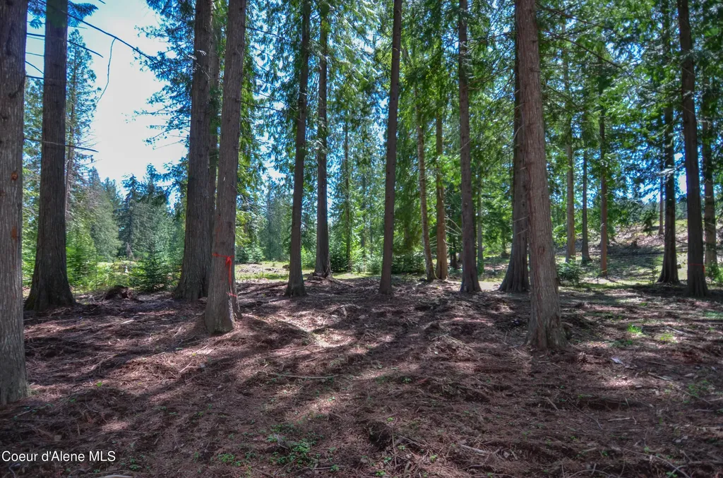 Estate Lot 3 Camp Bay Estates Sagle ID 83860