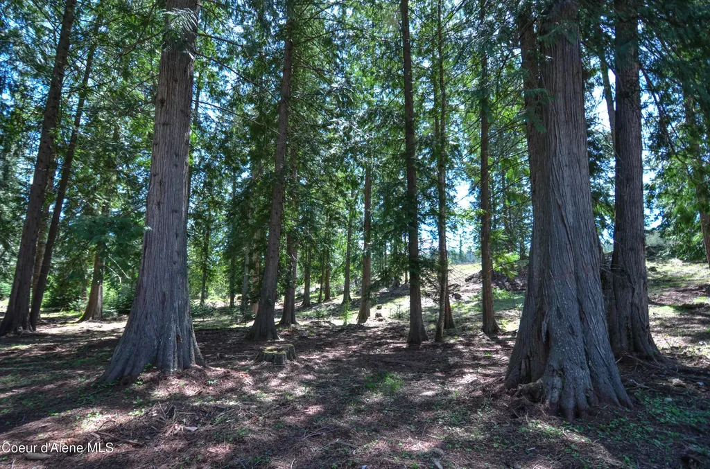 Estate Lot 3 Camp Bay Estates Sagle ID 83860